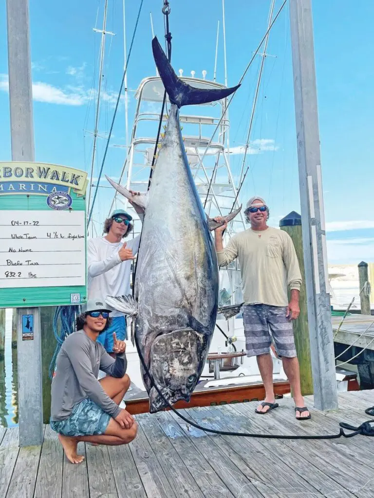 Things to do, deep sea fishing, bluefin, marlin, tuna, destin harbor fishing charters, the Emerald Coast,