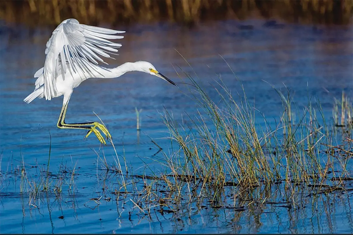 dune lakes,30a florida,eco system,things to do,top sail state park,