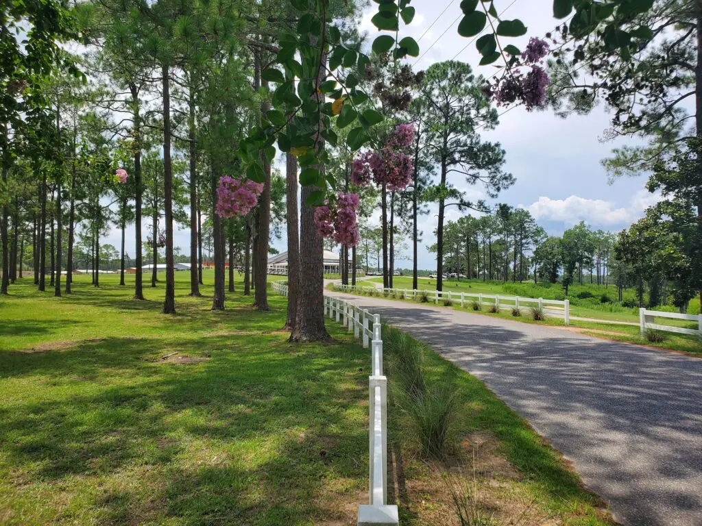 Eagle Springs Golf Course,DeFuniak Springs,Walton County,Florida Historic Golf Trail,