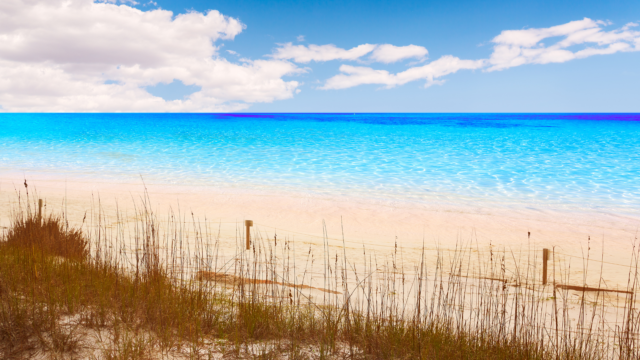 Beaches, beach access, henderson beach state park, the Emerald Coast, florida, 100 miles of beaches,