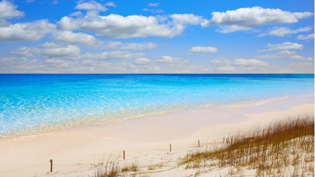 Henderson Beach State Park, Destin Florida, Best Places to Stay,