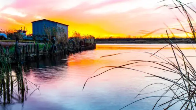 Fred Gannon State Park,Rocky Bayou,Niceville Florida,