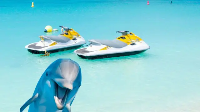 Things to Do, Waverunner Dolphin Tours, Watersport Activities, Emerald Coast Vacations,