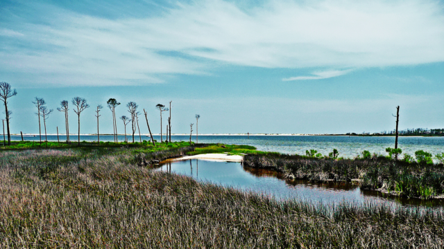 Places to Stay, Pensacola Florida, Big Lagoon State Park, Camping,