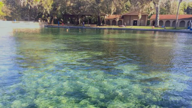 Ponce de Leon Springs, State Park, Walton County, Things to DO, Swimming in natural springs,