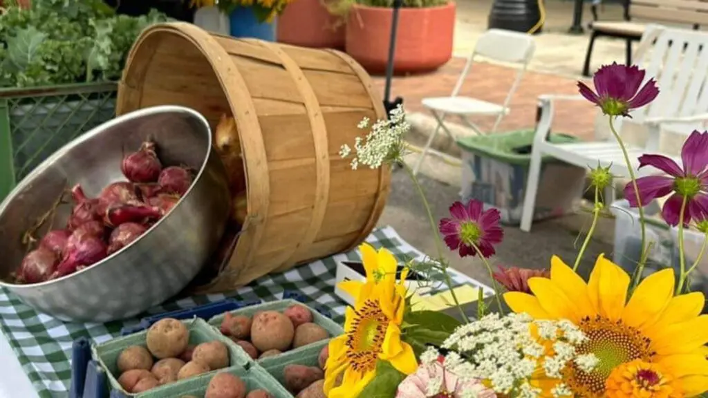 Niceville Florida, Community Farmers Market, Palm Plaza,