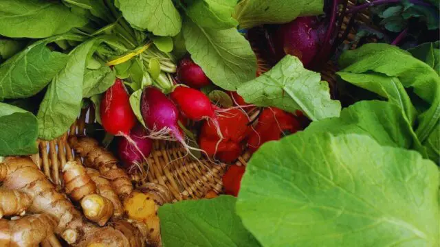 Grand Boulevard Farmers' Market, Sandestin Farmers market, Grand Boulevard,