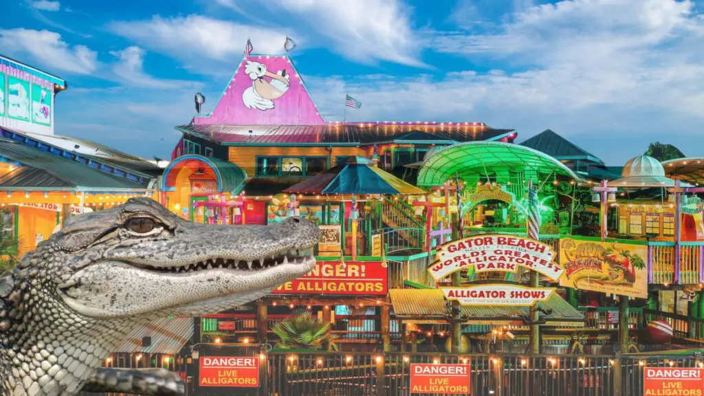 Things to Do, Attractions, Visit Gator Beach, Fudpuckers Beach Bar and Grill