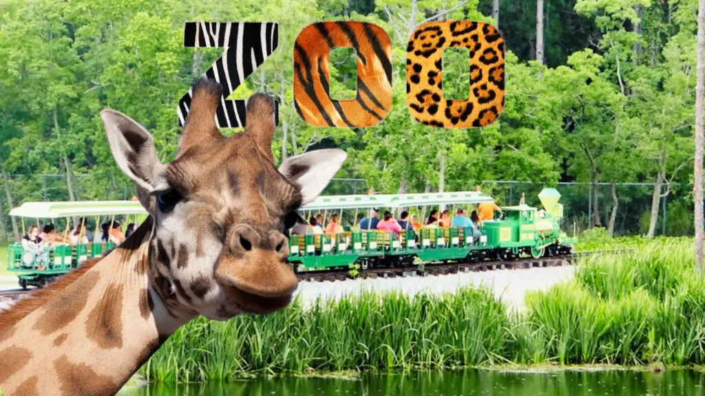 Things to Do, Attractions, Visit Gulf Breeze Zoo, Wild Life Adventures, Family Friendly Activities, Florida,