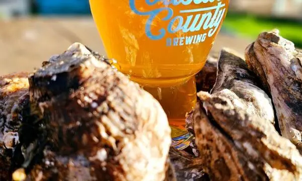 Coastal County Brewing, Pensacola Brewery, Best in Pensacola, Taproom, Craft Beers,