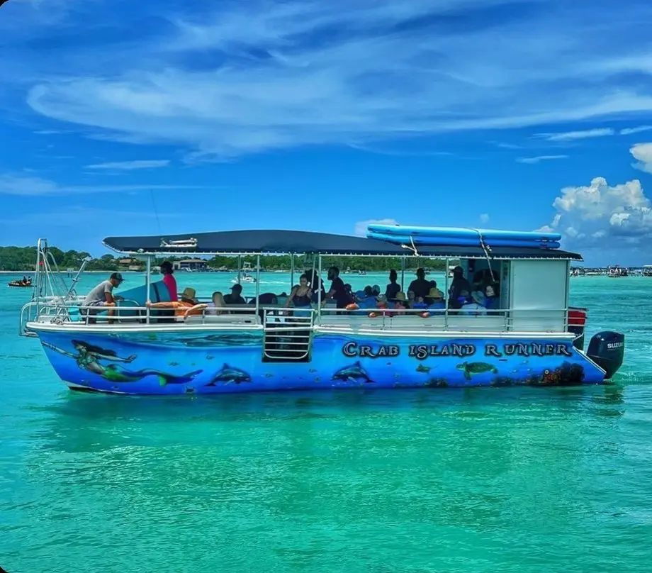 Crab Island Runner, Crab Island Tours, Watersports, Dolphin Tours,