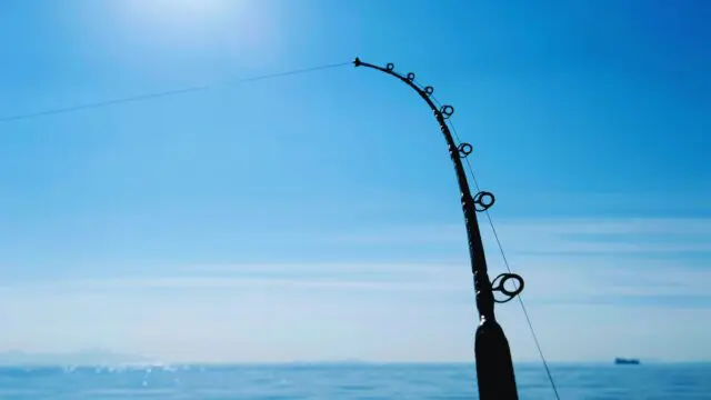 Deep Sea Fishing in Panama City Beach,Florida, Reel Groov Fishing Charters