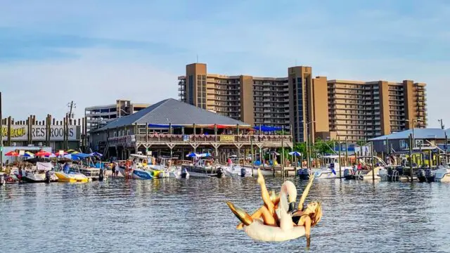 Flora-Bama Lounge, Ole River Grill, Beach Bar, Perdido Key, Orange Beach,