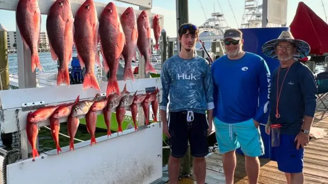 King of Kings, Fishing Charters, Destin Fishing Charters, Deep Sea Fishing, Shark Fishing,