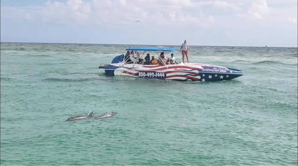 Screaming Eagle Sports, Destin Dolphin Tours,